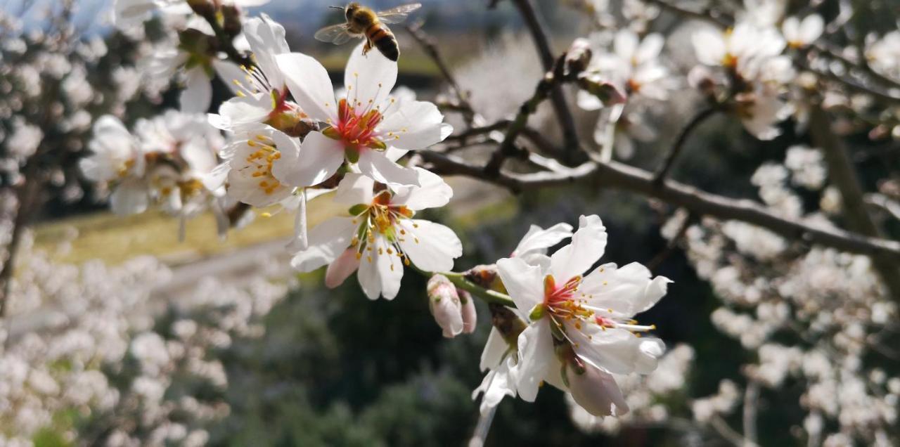 Piccola Casa Toscana Con Giardino Con Vista Mozzafiato Podere Cordicella ภายนอก รูปภาพ