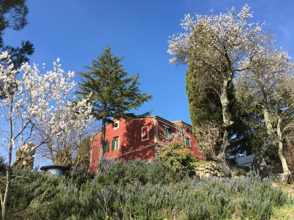 Piccola Casa Toscana Con Giardino Con Vista Mozzafiato Podere Cordicella ภายนอก รูปภาพ
